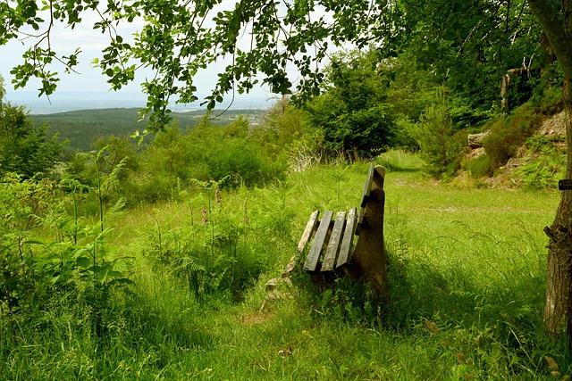薛思佳：上海整場堅守聯防卻換來山東外線命中率三分之一的悖論.