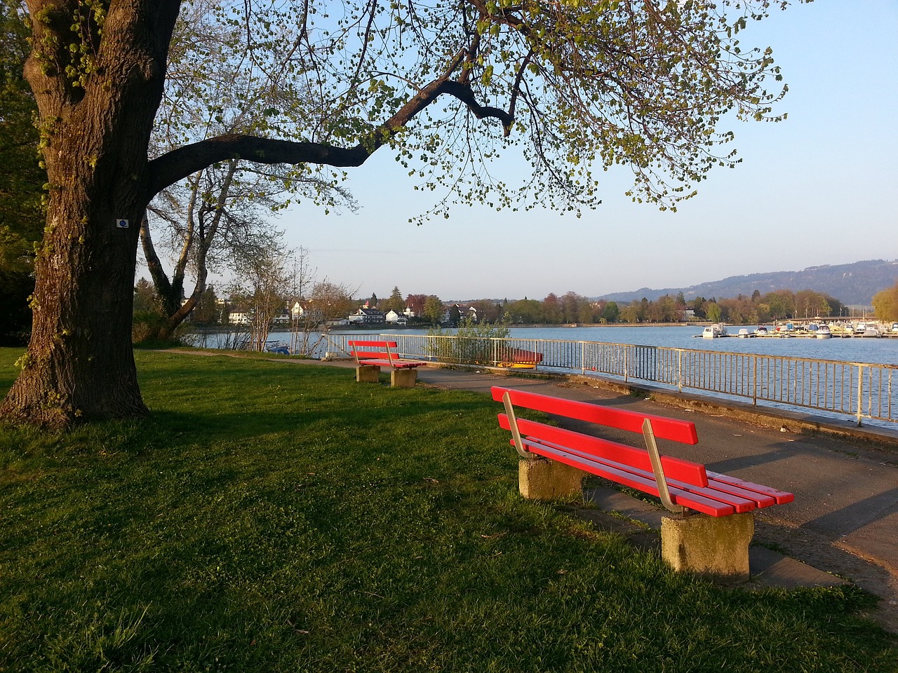 佩顿-沃特森：我们阵容比外界看到的更深 团队也比人们设想的要好.